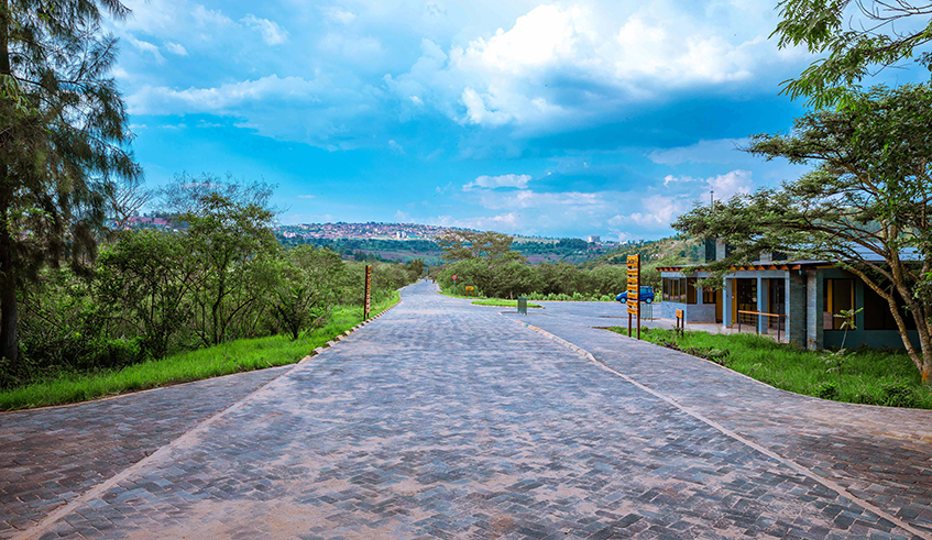 Landscape Maintenance